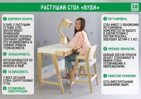 Комплект растущий стол и стул с чехлом 38 попугаев «Вуди» (Белый, Белый, Клетка) в Лысьве - lysva.mebel-74.com | фото
