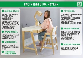 Комплект растущий стол и стул с чехлом 38 попугаев «Вуди» (Белый, Белый, Салют) в Лысьве - lysva.mebel-74.com | фото