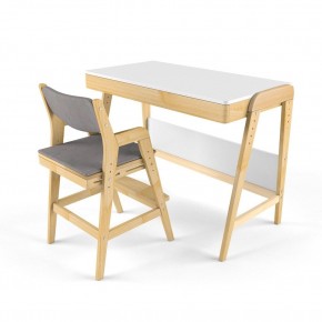 Комплект растущий стол и стул с чехлом 38 попугаев «Вуди» (Белый, Без покрытия, Серый) в Лысьве - lysva.mebel-74.com | фото