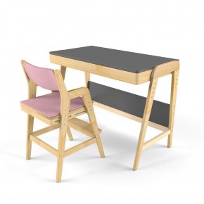 Комплект растущий стол и стул с чехлом 38 попугаев «Вуди» (Серый, Береза, Розовый) в Лысьве - lysva.mebel-74.com | фото