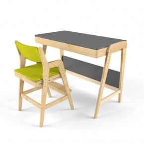 Комплект растущий стол и стул с чехлом 38 попугаев «Вуди» (Серый, Без покрытия, Грин) в Лысьве - lysva.mebel-74.com | фото