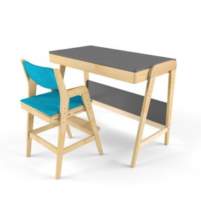 Комплект растущий стол и стул с чехлом 38 попугаев «Вуди» (Серый, Без покрытия, Лазурь) в Лысьве - lysva.mebel-74.com | фото