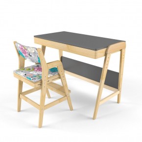 Комплект растущий стол и стул с чехлом 38 попугаев «Вуди» (Серый, Без покрытия, Мечта) в Лысьве - lysva.mebel-74.com | фото