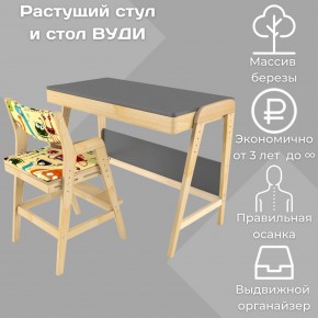 Комплект растущий стол и стул с чехлом 38 попугаев «Вуди» (Серый, Без покрытия, Монстры) в Лысьве - lysva.mebel-74.com | фото