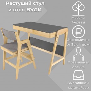 Комплект растущий стол и стул с чехлом 38 попугаев «Вуди» (Серый, Без покрытия, Серый) в Лысьве - lysva.mebel-74.com | фото