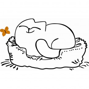 Кровать двухуровневая Кот № 900.1 ЛЕВАЯ (туя светлая/белый) в Лысьве - lysva.mebel-74.com | фото