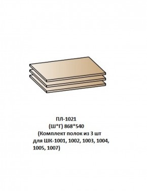ПЛ-1021 (Комплект полок из 3 шт для ШК-1001, 1002, 1003, 1004, 1005, 1007) в Лысьве - lysva.mebel-74.com | фото