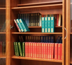 Шкаф для книг арт. 200 в Лысьве - lysva.mebel-74.com | фото