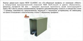 Шкаф-купе 1700 серии NEW CLASSIC K3+K3+B2+PL1 (2 ящика+1 штанга) профиль «Капучино» в Лысьве - lysva.mebel-74.com | фото