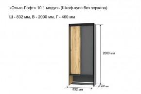 Шкаф купе без зеркала "Ольга-Лофт 10.1" в Лысьве - lysva.mebel-74.com | фото