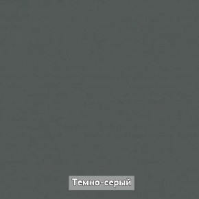 Шкаф купе без зеркала "Ольга-Лофт 10.1" в Лысьве - lysva.mebel-74.com | фото