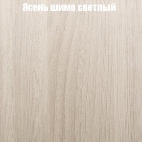 Шкаф-купе «ТАНДЕМ» 3-х дверный в алюминиевом профиле (Дверь К+К+К) 2100/h2200 в Лысьве - lysva.mebel-74.com | фото