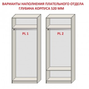 Шкаф распашной серия «ЗЕВС» (PL3/С1/PL2) в Лысьве - lysva.mebel-74.com | фото