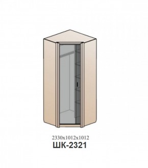 Шкаф ШЕР Дуб серый/айронвуд серебро (ШК-2321) в Лысьве - lysva.mebel-74.com | фото