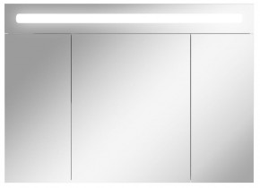 Шкаф-зеркало Аврора 100 с подсветкой LED Домино (DV8012HZ) в Лысьве - lysva.mebel-74.com | фото