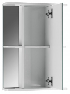 Шкаф-зеркало Норма 2-50 правый АЙСБЕРГ (DA1608HZ) в Лысьве - lysva.mebel-74.com | фото