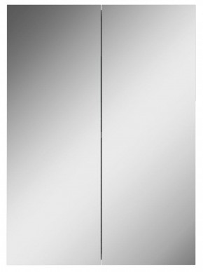 Шкаф-зеркало Норма 50 2 двери АЙСБЕРГ (DA1636HZ) в Лысьве - lysva.mebel-74.com | фото
