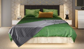 Спальня Джулия Кровать 160 МИ с подъемным механизмом Дуб крафт серый в Лысьве - lysva.mebel-74.com | фото