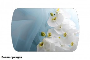 Стол Бостон 900*600 (опоры Брифинг) Стекло/фотопечать Белая Орхидея в Лысьве - lysva.mebel-74.com | фото