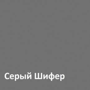Юнона Шкаф торцевой 13.221 в Лысьве - lysva.mebel-74.com | фото