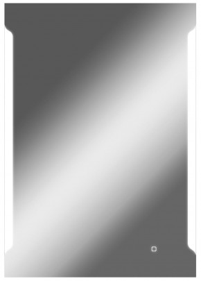 Зеркало Оттава 1000х700 с подсветкой Домино (GL7028Z) в Лысьве - lysva.mebel-74.com | фото
